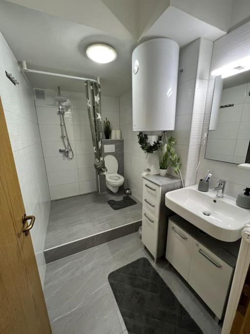 Apartment City Center Wurzburg Bagian luar foto